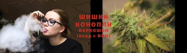 тгк Горняк