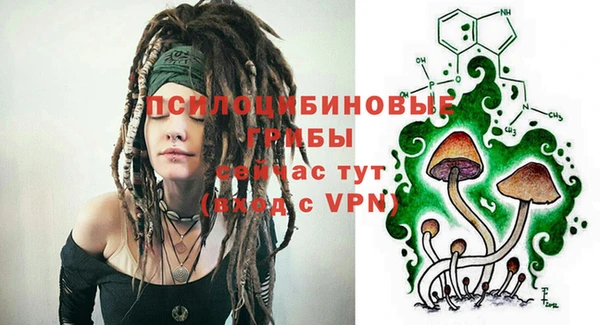 тгк Горняк