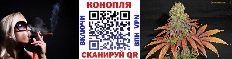 Бошки марихуана сатива  Ачинск 
